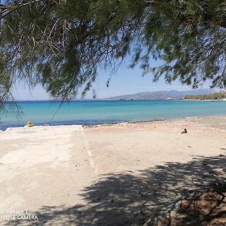 Beach N Fun Bbq Fireplace Saronida Pokoj fotografie